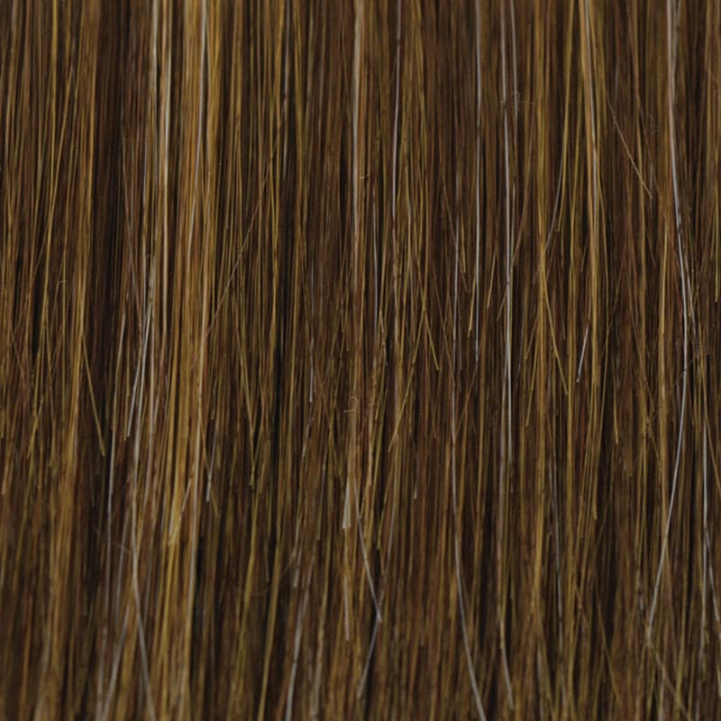Mocha Honey (829) color swatch by TressAllure
