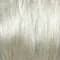 Champagne Silver color swatch by Noriko