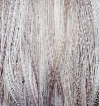Frozen Mulberry color swatch by Rene of Paris