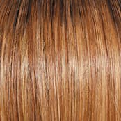 R14/25 Honey Ginger color swatch by Raquel Welch