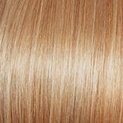 R14/88H Golden Wheat color swatch by Raquel Welch