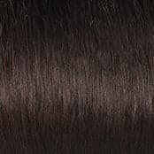 R3HH Dark Brown color swatch by Raquel Welch