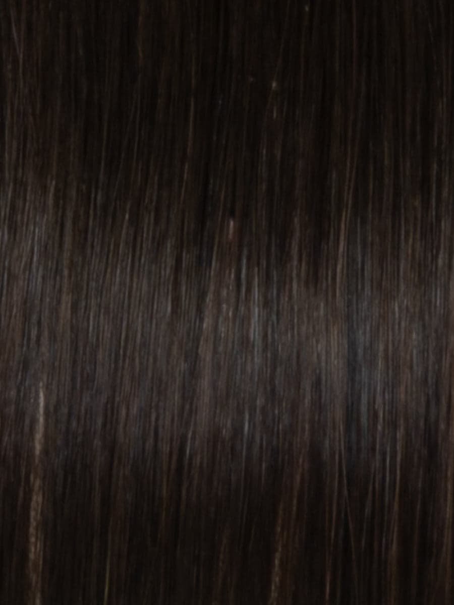 RH2/4 DARK CHOCOLATE color swatch by Raquel Welch