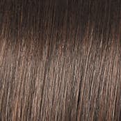 RL8/12SS Shaded Iced Mocha color swatch by Raquel Welch