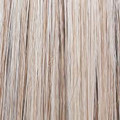 RL19/23SS SS Biscuit color swatch by Raquel Welch