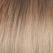 SS10/22 SS Iced Cappuccino color swatch by Raquel Welch
