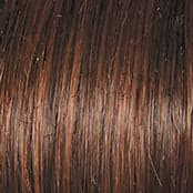 SS10 SS Chestnut color swatch by Raquel Welch