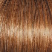 SS14/25 Honey Ginger color swatch by Raquel Welch