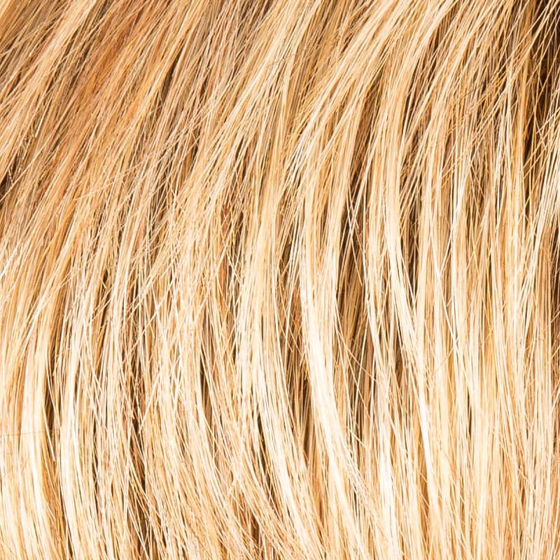 GINGER-ROOTED color swatch by Ellen Wille