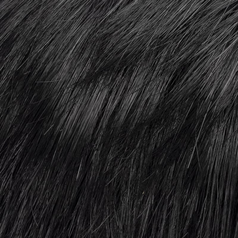 EBONY-BLACK color swatch by Ellen Wille