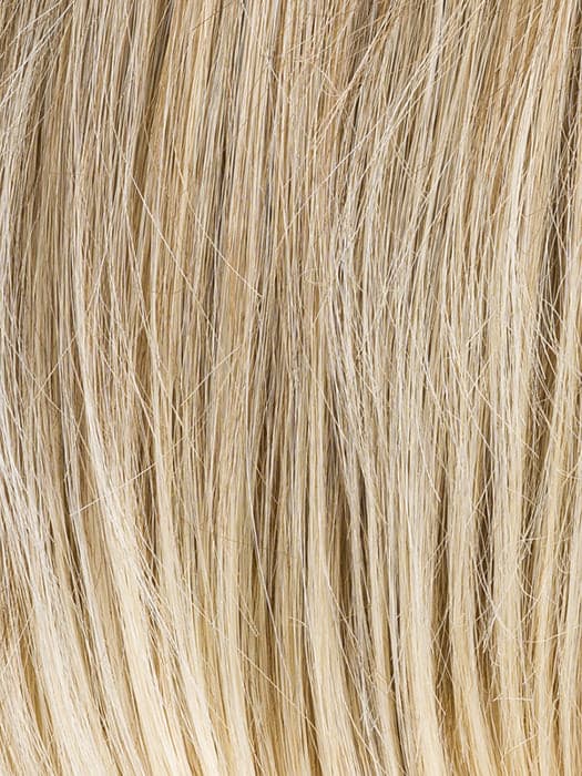 Sandy Blonde Tipped color swatch by Ellen Wille