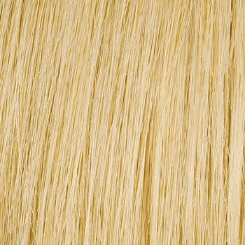 R10HH Palest Blonde color swatch by Hairdo
