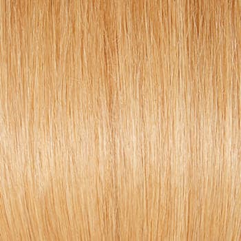 R9HH color swatch by Hairdo