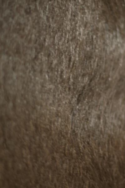 3TFH93 color swatch by Vivica Fox