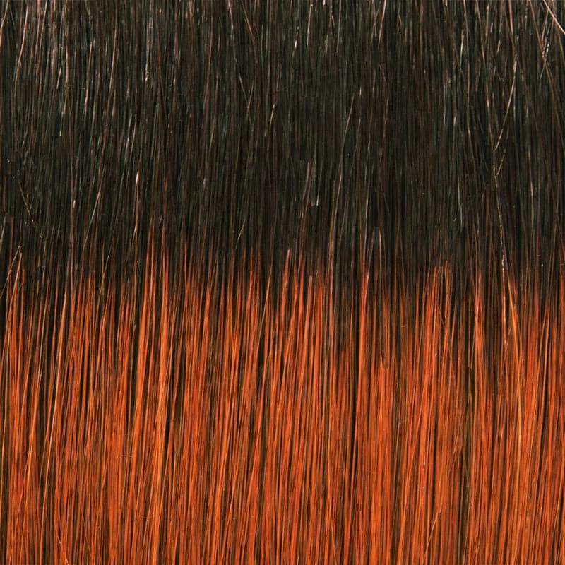 33/130/R4 color swatch by TressAllure