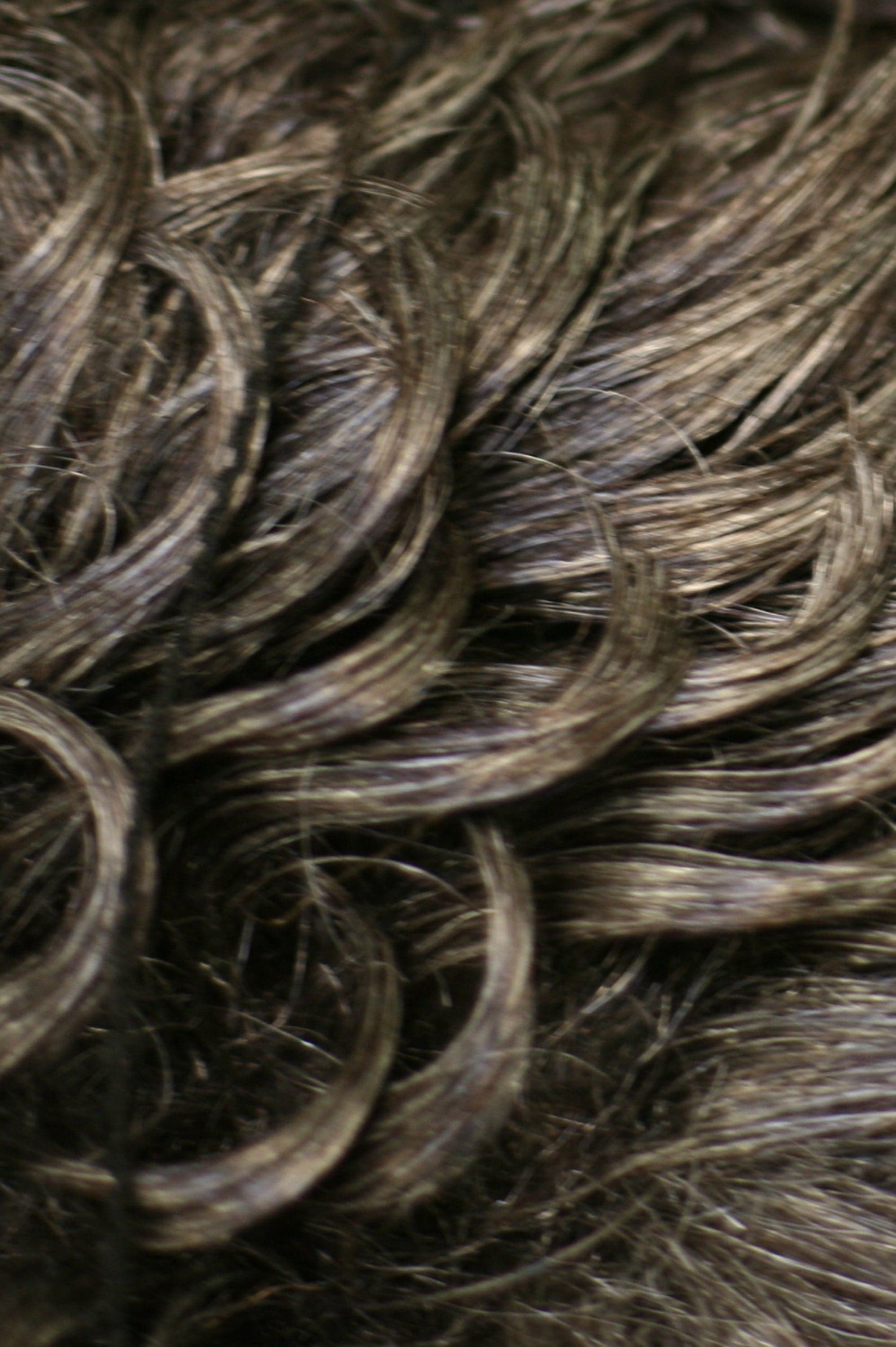 3T280 color swatch by Vivica Fox