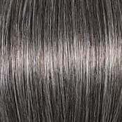 511C Sugared Charcoal color swatch by Gabor