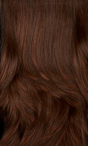 CHESTNUT color swatch by Mane Attraction