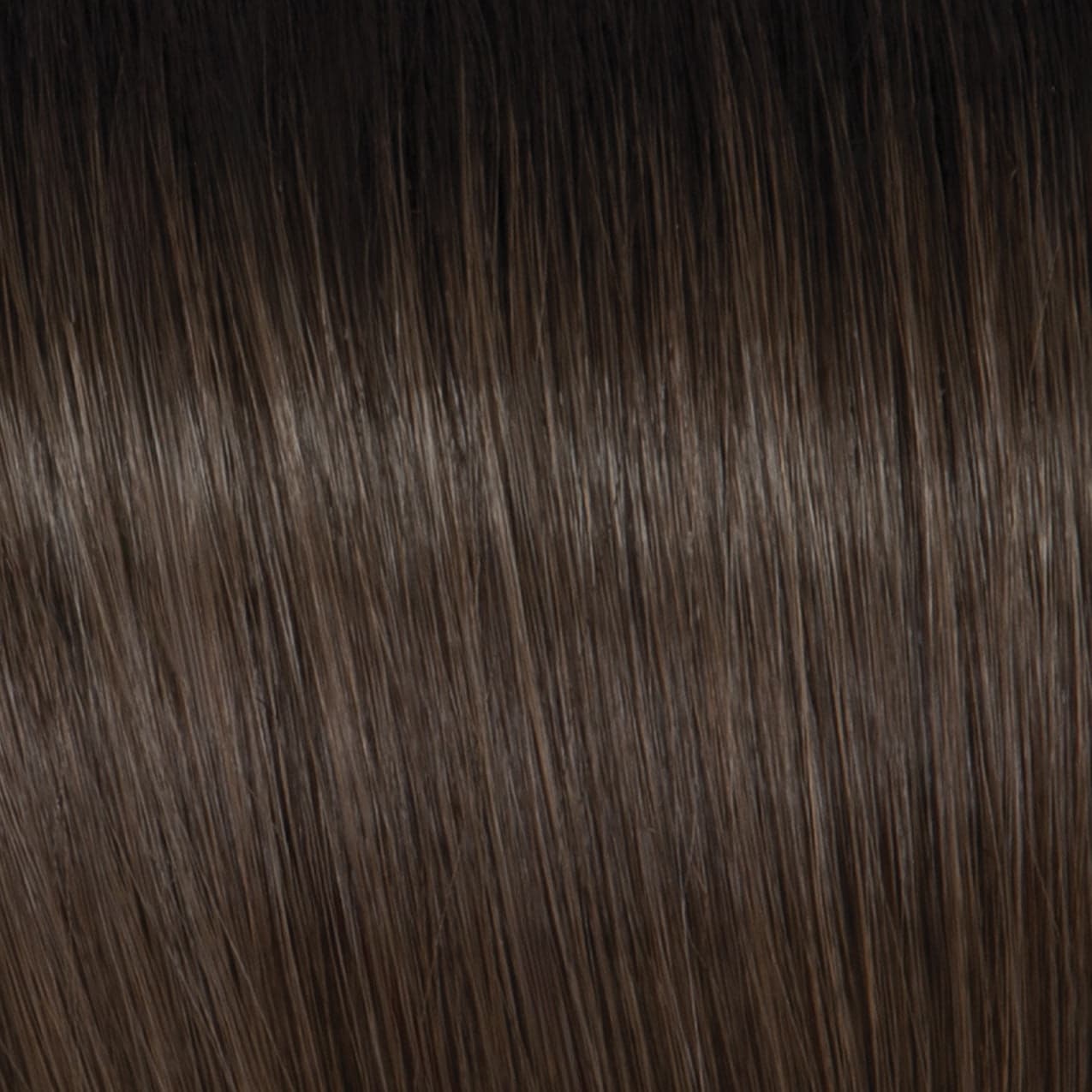 GF10-12SS SS Sunlit Chestnut color swatch by Gabor