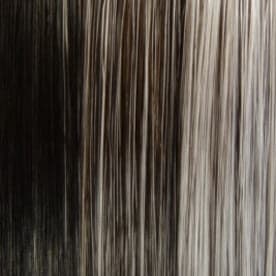 HF5648 color swatch by Vivica Fox