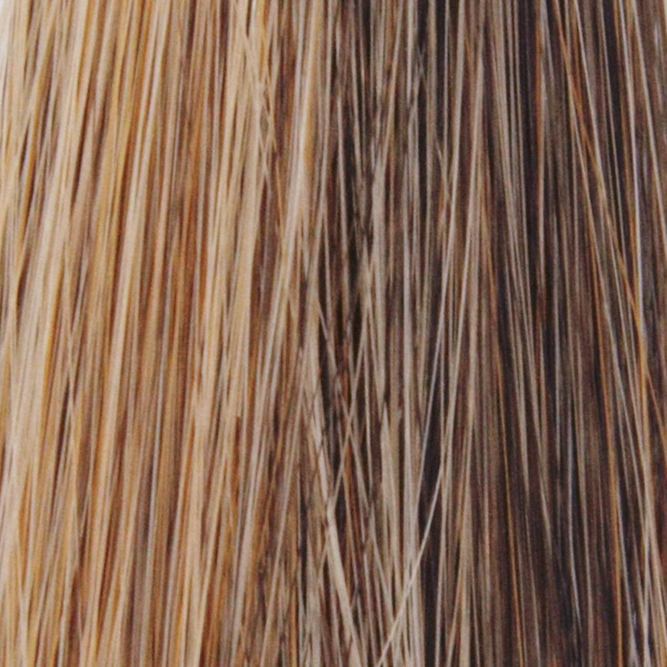 Mocha Gold | Medium Brown Blended and Tipped With Medium Gold Blonde color swatch by TressAllure