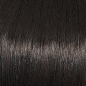 R4 Midnight Brown color swatch by Raquel Welch