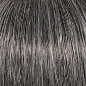 R511G Gradient Charcoal color swatch by Raquel Welch