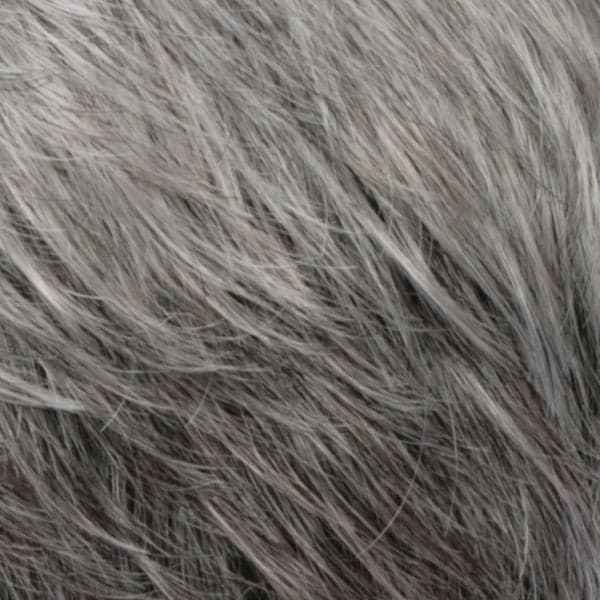 R56T color swatch by Estetica Designs