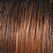 SS30/28 SS Spice color swatch by Raquel Welch