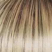 SS613 SS Platinum color swatch by Raquel Welch