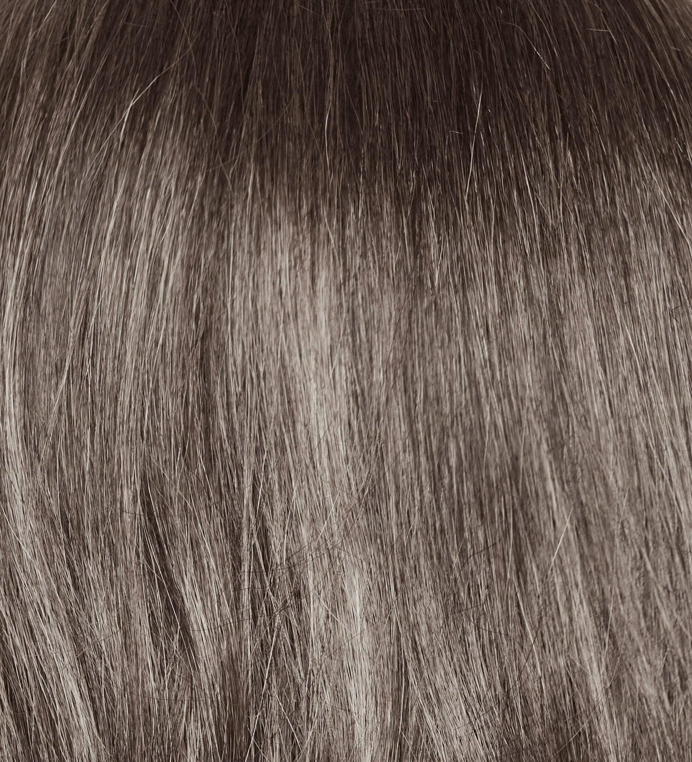 Truffle Brown-R color swatch by Amore