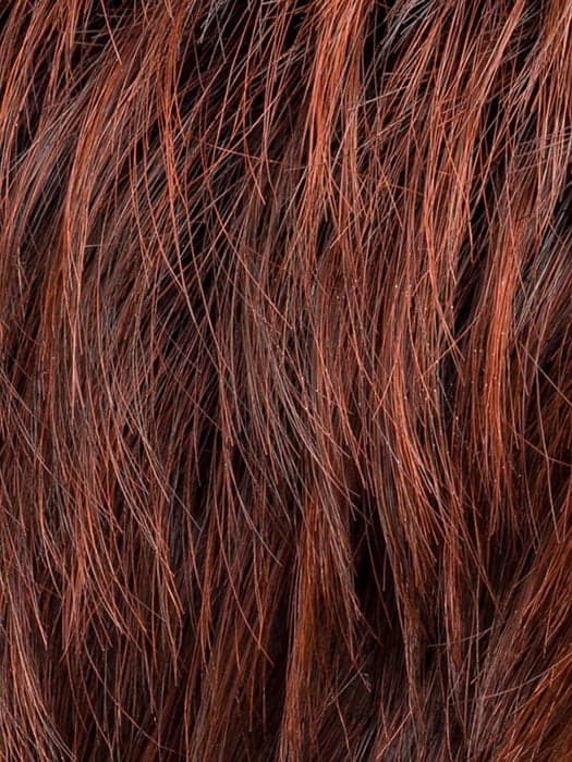 Auburn Rooted color swatch by Ellen Wille